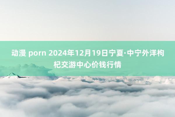 动漫 porn 2024年12月19日宁夏·中宁外洋枸杞交游中心价钱行情