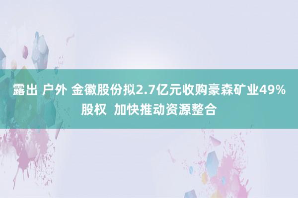 露出 户外 金徽股份拟2.7亿元收购豪森矿业49%股权  加快推动资源整合