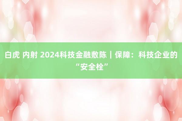 白虎 内射 2024科技金融敷陈｜保障：科技企业的“安全栓”