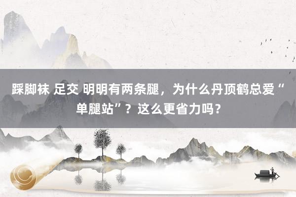 踩脚袜 足交 明明有两条腿，为什么丹顶鹤总爱“单腿站”？这么更省力吗？