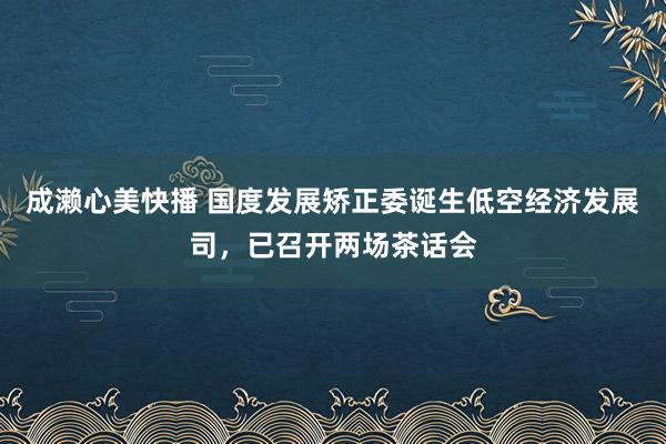 成濑心美快播 国度发展矫正委诞生低空经济发展司，已召开两场茶话会