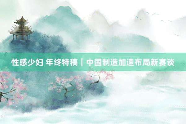 性感少妇 年终特稿｜中国制造加速布局新赛谈