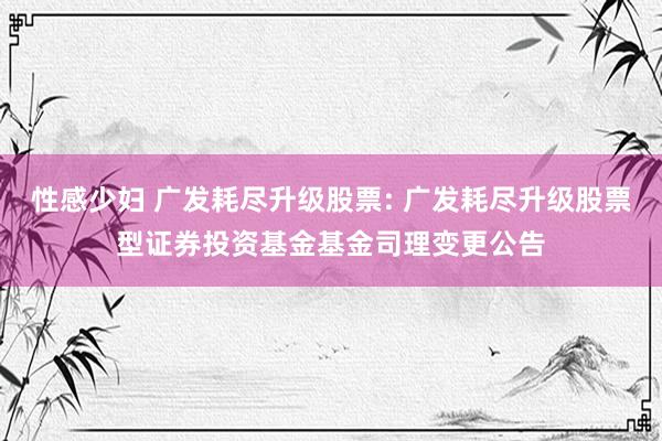 性感少妇 广发耗尽升级股票: 广发耗尽升级股票型证券投资基金基金司理变更公告