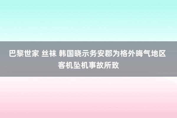 巴黎世家 丝袜 韩国晓示务安郡为格外晦气地区 客机坠机事故所致