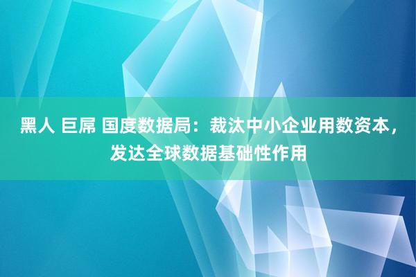 黑人 巨屌 国度数据局：裁汰中小企业用数资本，发达全球数据基础性作用