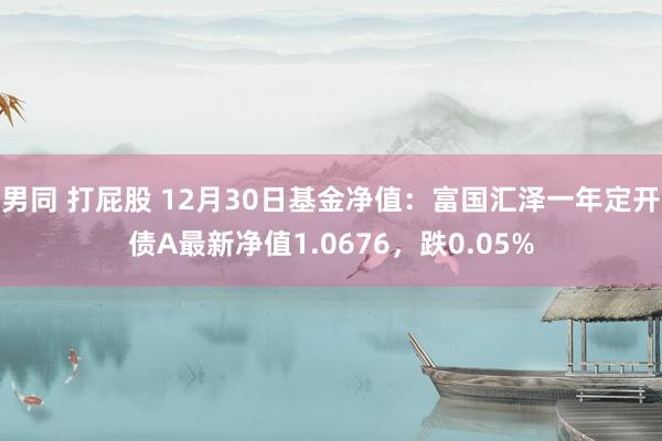 男同 打屁股 12月30日基金净值：富国汇泽一年定开债A最新净值1.0676，跌0.05%