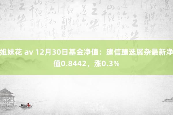 姐妹花 av 12月30日基金净值：建信臻选羼杂最新净值0.8442，涨0.3%