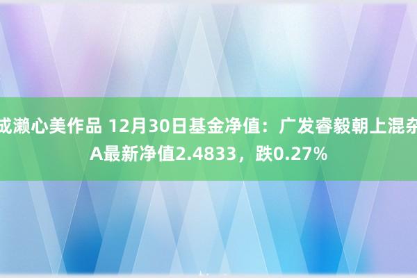 成濑心美作品 12月30日基金净值：广发睿毅朝上混杂A最新净值2.4833，跌0.27%