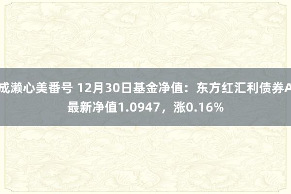 成濑心美番号 12月30日基金净值：东方红汇利债券A最新净值1.0947，涨0.16%