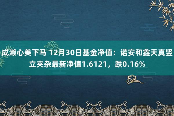 成濑心美下马 12月30日基金净值：诺安和鑫天真竖立夹杂最新净值1.6121，跌0.16%