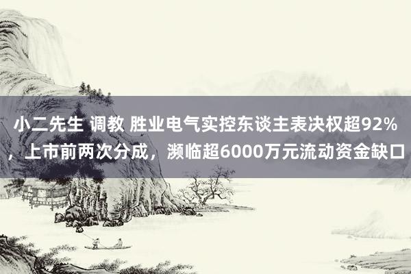 小二先生 调教 胜业电气实控东谈主表决权超92%，上市前两次分成，濒临超6000万元流动资金缺口