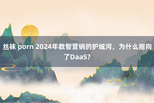 丝袜 porn 2024年数智营销的护城河，为什么指向了DaaS？