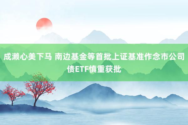 成濑心美下马 南边基金等首批上证基准作念市公司债ETF慎重获批