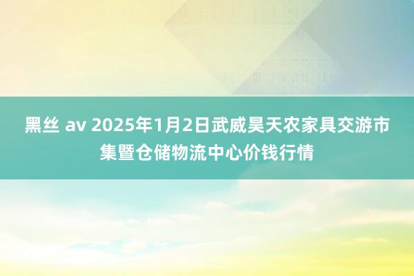 黑丝 av 2025年1月2日武威昊天农家具交游市集暨仓储物流中心价钱行情