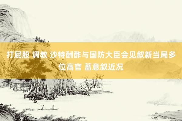 打屁股 调教 沙特酬酢与国防大臣会见叙新当局多位高官 蓄意叙近况