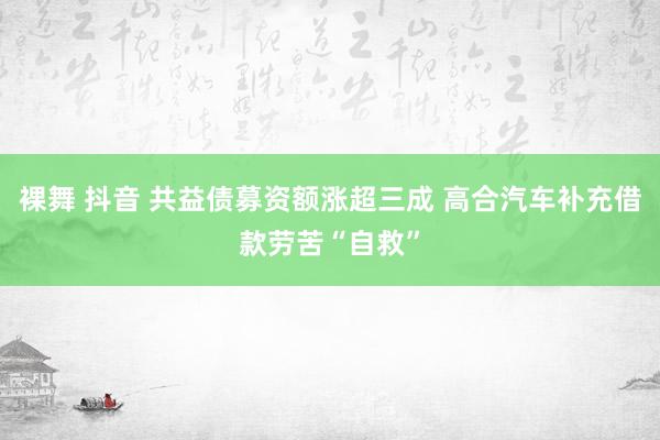 裸舞 抖音 共益债募资额涨超三成 高合汽车补充借款劳苦“自救”