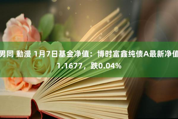 男同 動漫 1月7日基金净值：博时富鑫纯债A最新净值1.1677，跌0.04%