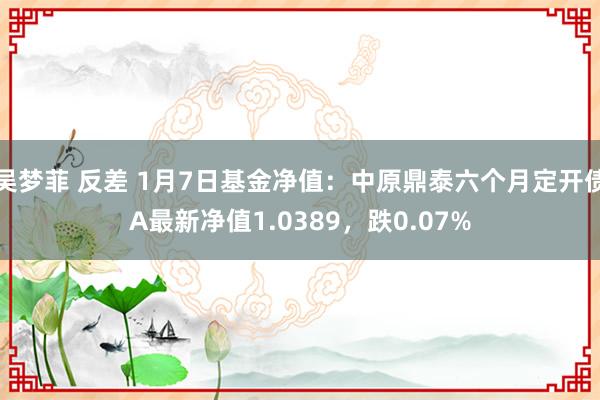 吴梦菲 反差 1月7日基金净值：中原鼎泰六个月定开债A最新净值1.0389，跌0.07%