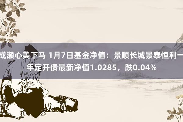 成濑心美下马 1月7日基金净值：景顺长城景泰恒利一年定开债最新净值1.0285，跌0.04%