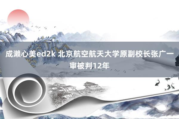 成濑心美ed2k 北京航空航天大学原副校长张广一审被判12年