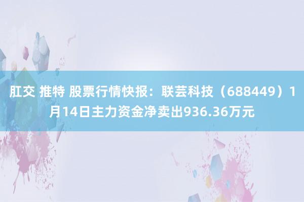 肛交 推特 股票行情快报：联芸科技（688449）1月14日主力资金净卖出936.36万元