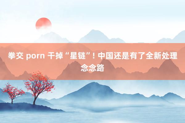 拳交 porn 干掉“星链”! 中国还是有了全新处理念念路