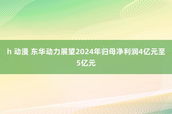 h 动漫 东华动力展望2024年归母净利润4亿元至5亿元