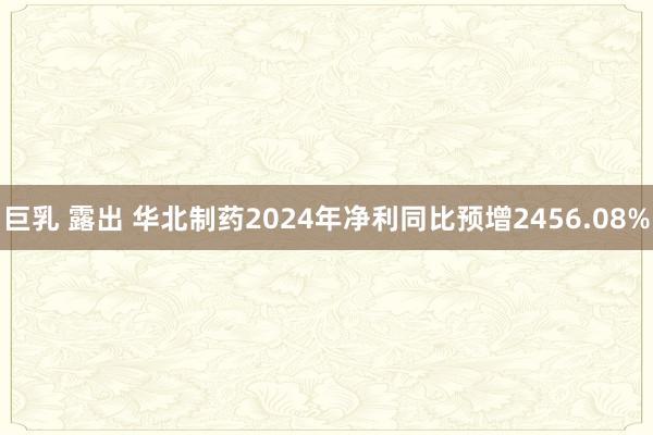 巨乳 露出 华北制药2024年净利同比预增2456.08%