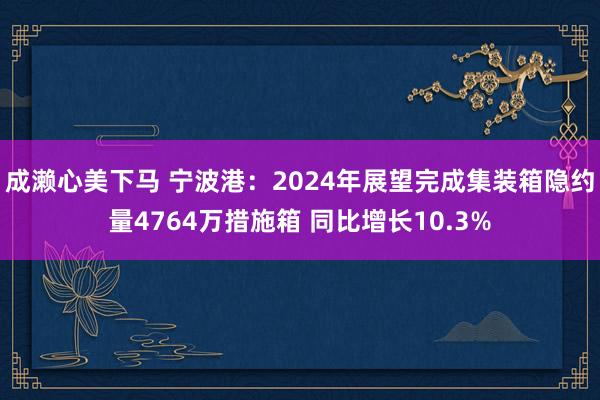 成濑心美下马 宁波港：2024年展望完成集装箱隐约量4764万措施箱 同比增长10.3%